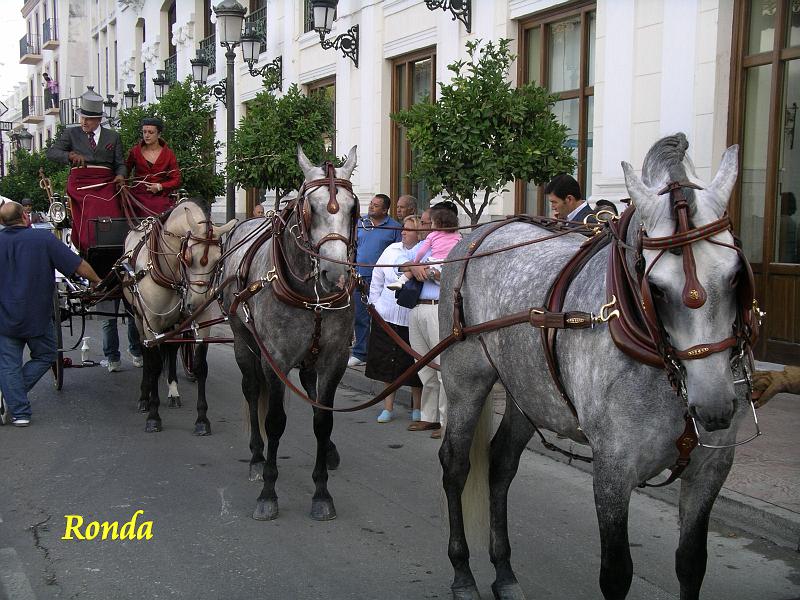 Andalusie 2008 173.jpg